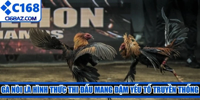 Gà nòi là hình thức thi đấu mang đậm yếu tố truyền thống