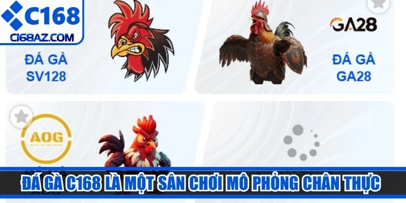 Đá gà C168 là một sân chơi mô phỏng chân thực các trận đấu gà truyền thống