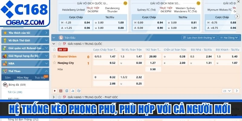 Hệ thống kèo phong phú, phù hợp với cả người mới và cược thủ lâu năm